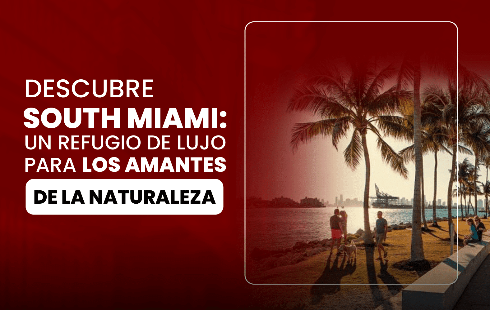 Descubre South Miami: un Refugio de lujo para los amantes de la naturaleza